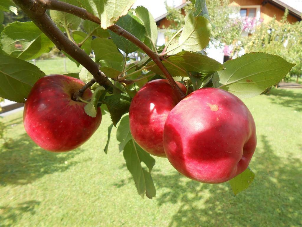 Haus Heiserer Musau Εξωτερικό φωτογραφία